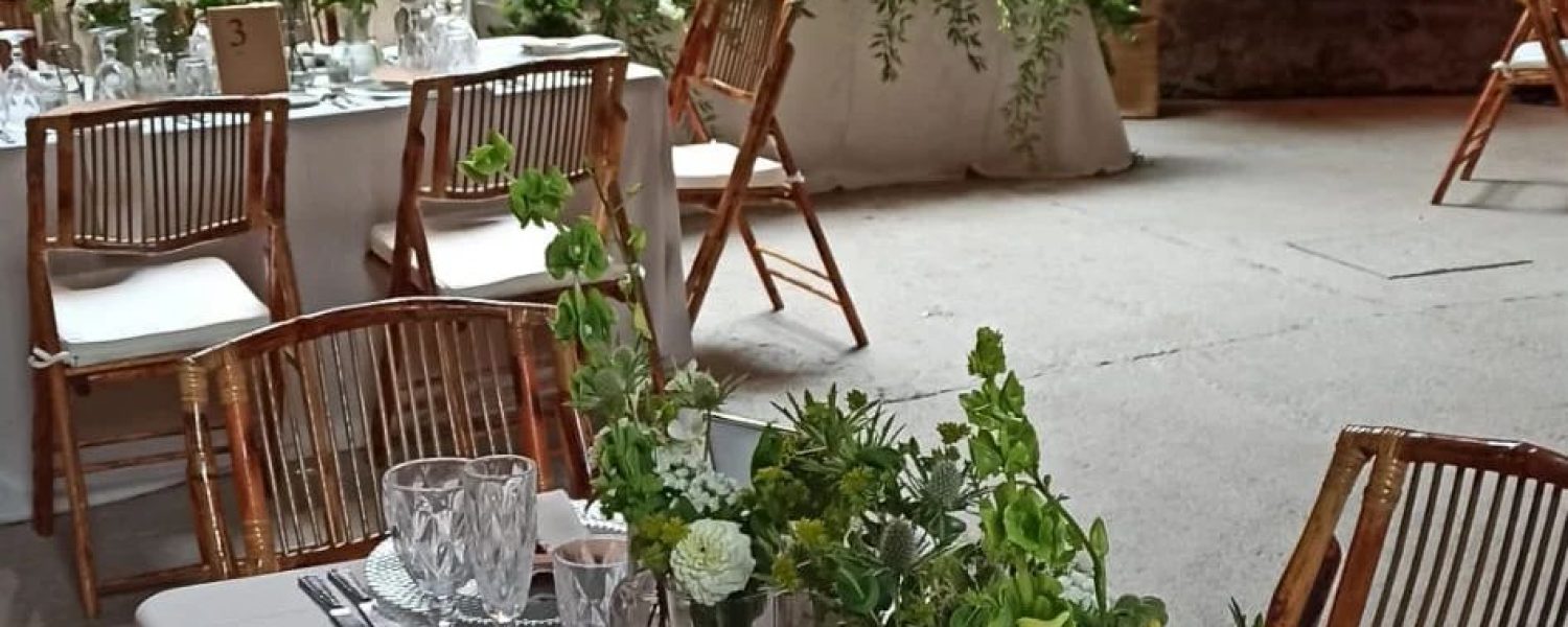 Flores que purifican el aire para una mejor salud en Floristería Israel Santana