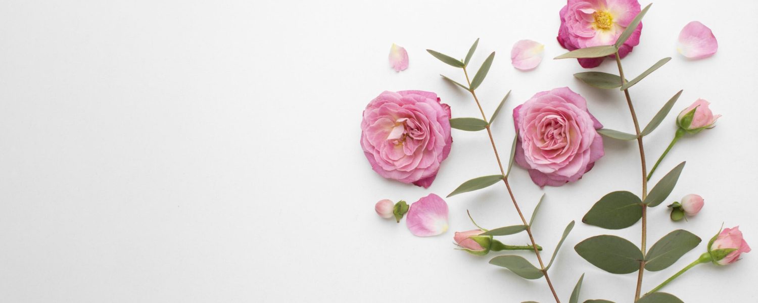 Consejos para el cuidado de flores frescas con Floristería Israel Santana